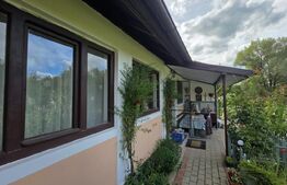 Casa de Vanzare in Teaca de 3 camere cu 11 arii teren 