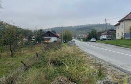 Casa de Vanzare in Teaca de 3 camere plus 17 arii teren !