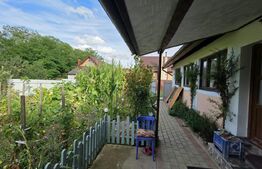 Casa de Vanzare in Teaca de 3 camere cu 11 arii teren 