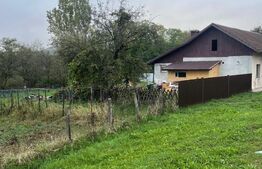 Casa de Vanzare in Teaca de 3 camere plus 17 arii teren !