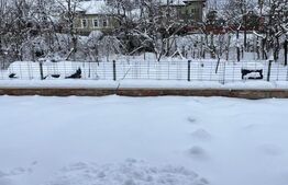 Casa de Vanzare in Teaca de 3 camere cu 12 arii teren 