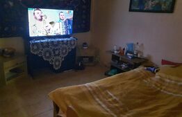 Casa individuala de vanzare, Monariu