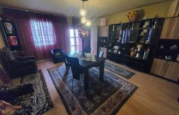 Casa individuala de vanzare, Monariu