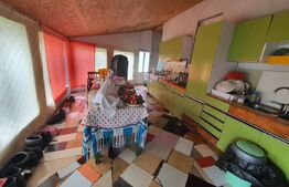 Casa individuala de vanzare, Monariu