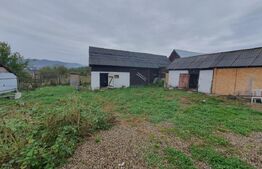 Casa individuala de vanzare, Monariu