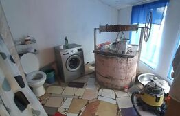 Casa individuala de vanzare, Monariu