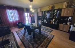 Casa individuala de vanzare, Monariu