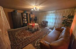 Casa individuala de vanzare, Monariu