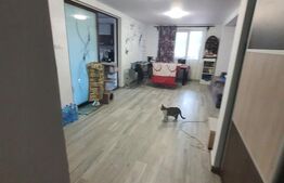 Casa individuala 3 dormitoare, zona Dedeman