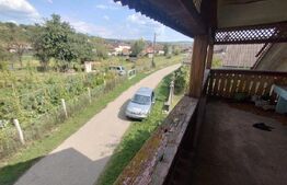 Casa 140mp,curte si teren imprejmuit 800mp,+teren extravilan 2ha, zona Monor