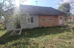 Casa 140mp,curte si teren imprejmuit 800mp,+teren extravilan 2ha, zona Monor