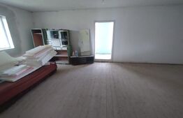 Casa 140mp,curte si teren imprejmuit 800mp,+teren extravilan 2ha, zona Monor