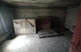 Casa 140mp,curte si teren imprejmuit 800mp,+teren extravilan 2ha, zona Monor