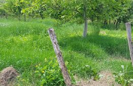 Casa traditionala, 70mp, teren 1574mp, zona Monor