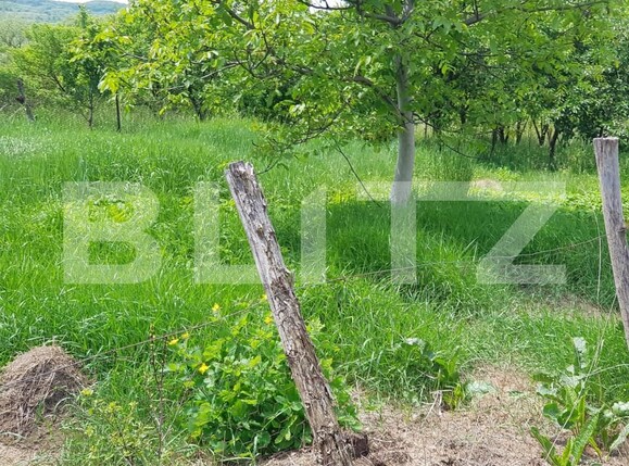 Casa de vânzare 2 camere Sud-Est - 163239CV | BLITZ Bistriţa | Poza5