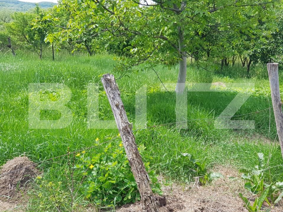 Casa de vânzare 2 camere Sud-Est - 163239CV | BLITZ Bistriţa | Poza5