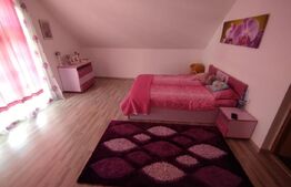 Fabrica teracota Livezile 1900mp hala+400mp Casa+teren 2900mp,acces tir