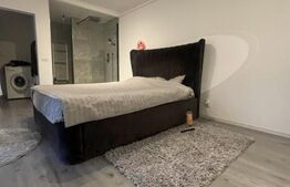 Casa cu 5 camere, 222 mp utili, 412 mp teren, zona ultracentrala