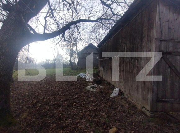 Casa de vânzare 3 camere Nasaud - 163437CV | BLITZ Bistriţa | Poza5