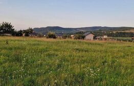 Teren intravilande vanzare, 977 mp, zona Zavoaie