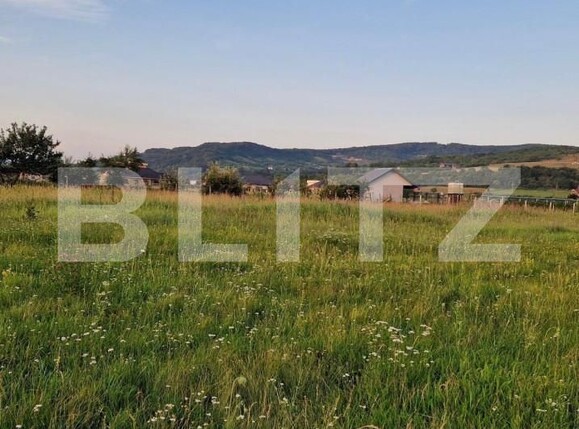 Teren de vânzare Exterior Sud - 163632TV | BLITZ Bistriţa | Poza2