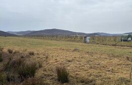 Teren Beclean zona Băile Figa