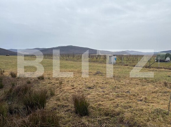 Teren de vânzare Beclean - 163679TV | BLITZ Bistriţa | Poza1