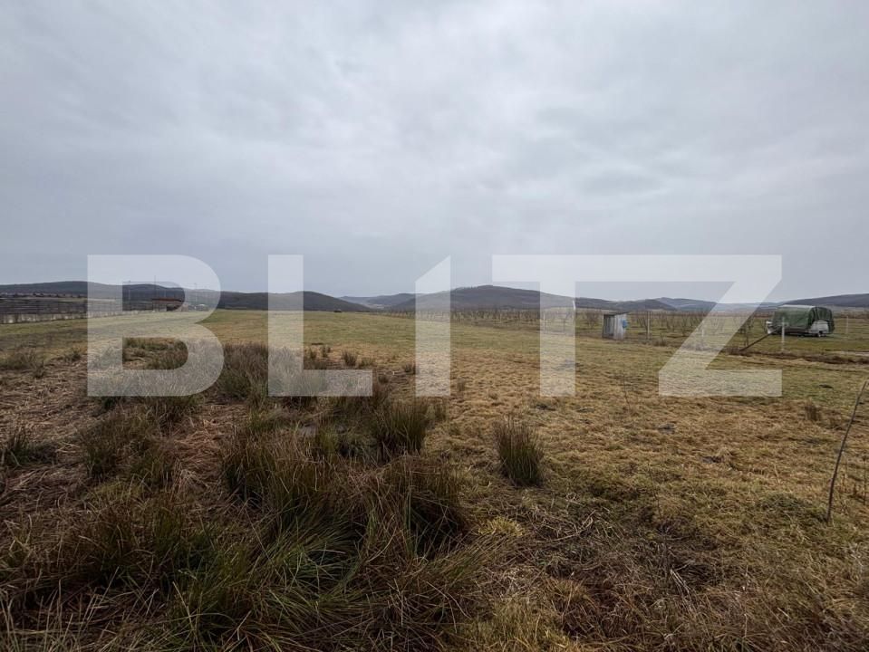 Teren de vânzare Beclean - 163679TV | BLITZ Bistriţa | Poza5