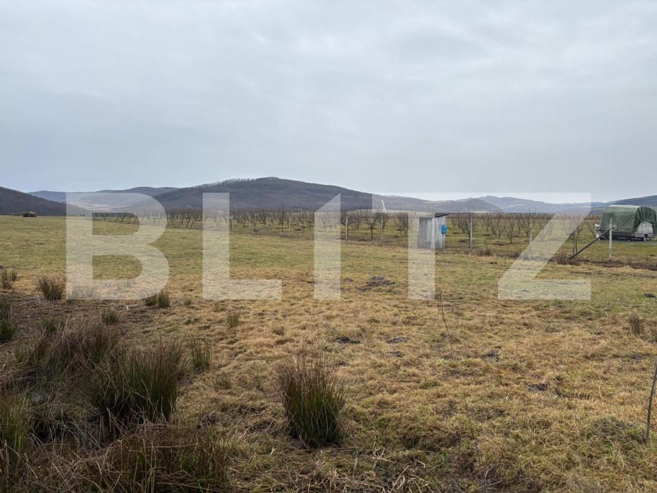 Teren de vânzare Beclean - 163679TV | BLITZ Bistriţa | Poza1