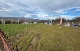 Oportunitate de investitie, teren extravilan 864 mp, Str Cameliei 