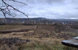 Casa 2 camere, 70 mp, teren 3000 mp