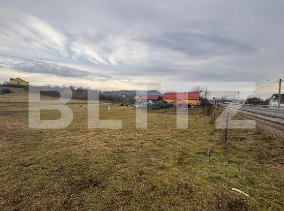 Teren de vânzare Sud - 163748TV | BLITZ Bistriţa | Poza1