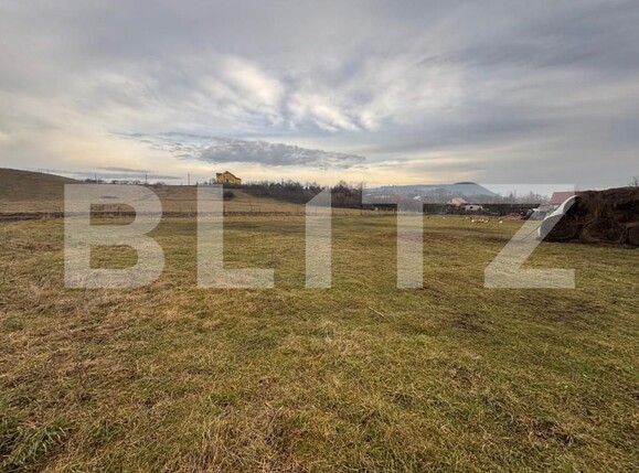 Teren de vânzare Sud - 163748TV | BLITZ Bistriţa | Poza4