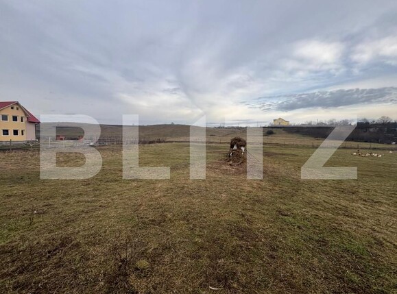 Teren de vânzare Sud - 163748TV | BLITZ Bistriţa | Poza5