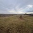 Teren de vânzare Sud - 163748TV - Poza 1 din 5 | BLITZ Bistriţa | Poza4