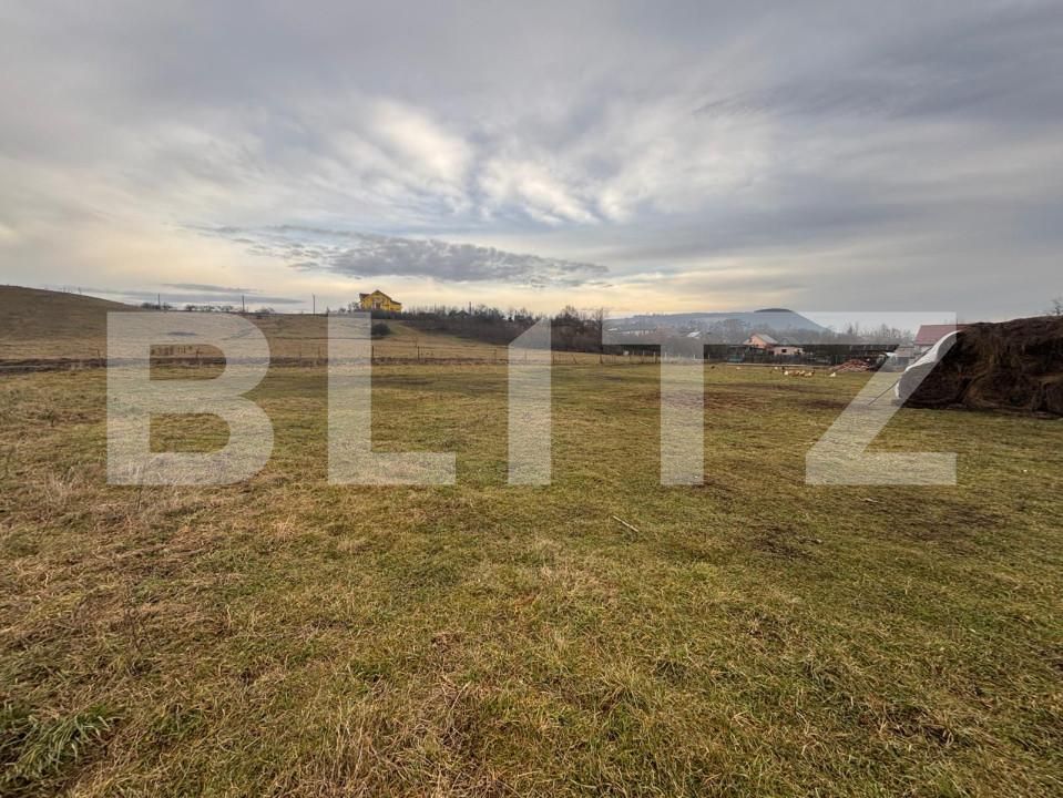 Teren de vânzare Sud - 163748TV | BLITZ Bistriţa | Poza4