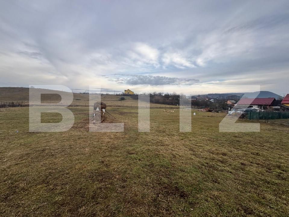 Teren de vânzare Sud - 163748TV | BLITZ Bistriţa | Poza2