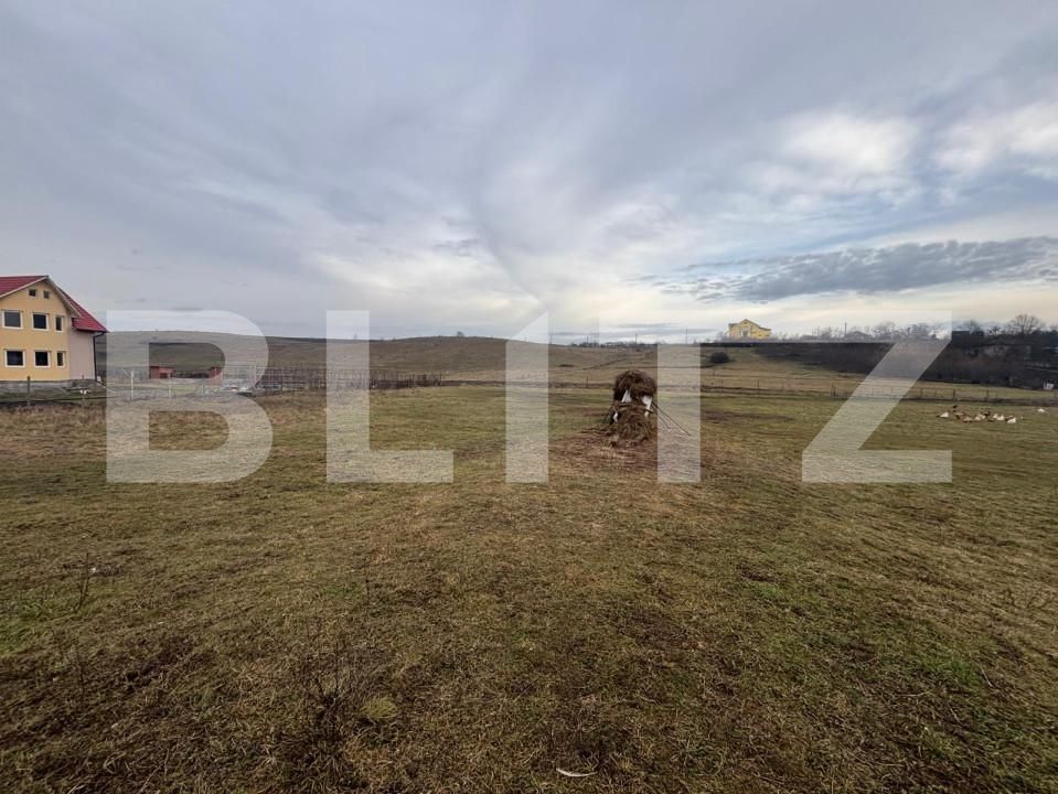 Teren de vânzare Sud - 163748TV | BLITZ Bistriţa | Poza5