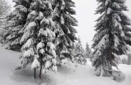 Teren 10,75 ari, intravilan Colibita, cu utilitati 