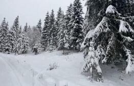 Teren 10,75 ari, intravilan Colibita, cu utilitati 