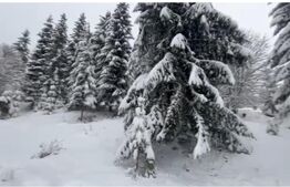 Teren 10,75 ari, intravilan Colibita, cu utilitati 
