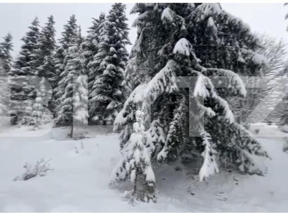 Teren de vânzare Colibiţa - 163763TV | BLITZ Bistriţa | Poza3