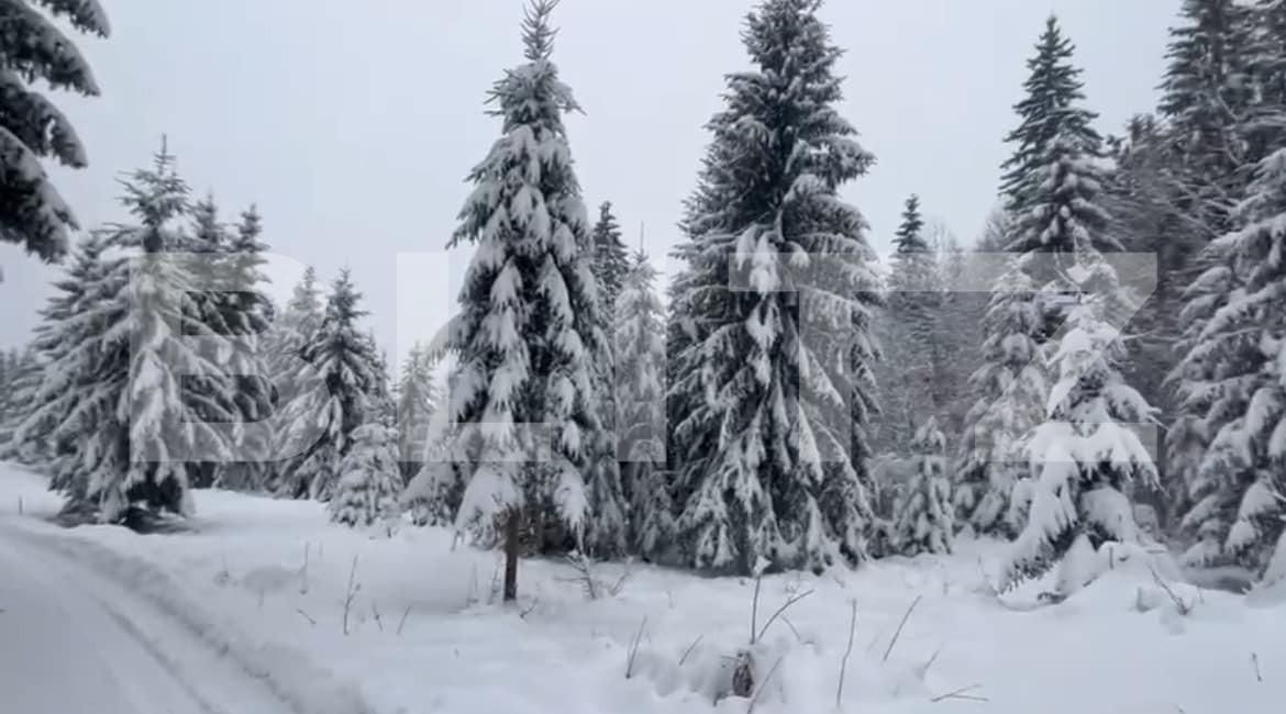 Teren de vânzare Colibiţa - 163763TV | BLITZ Bistriţa | Poza1