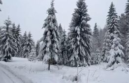 Teren 500mp+75mp cota parte drum, intravilan Colibita, cu utilitati 