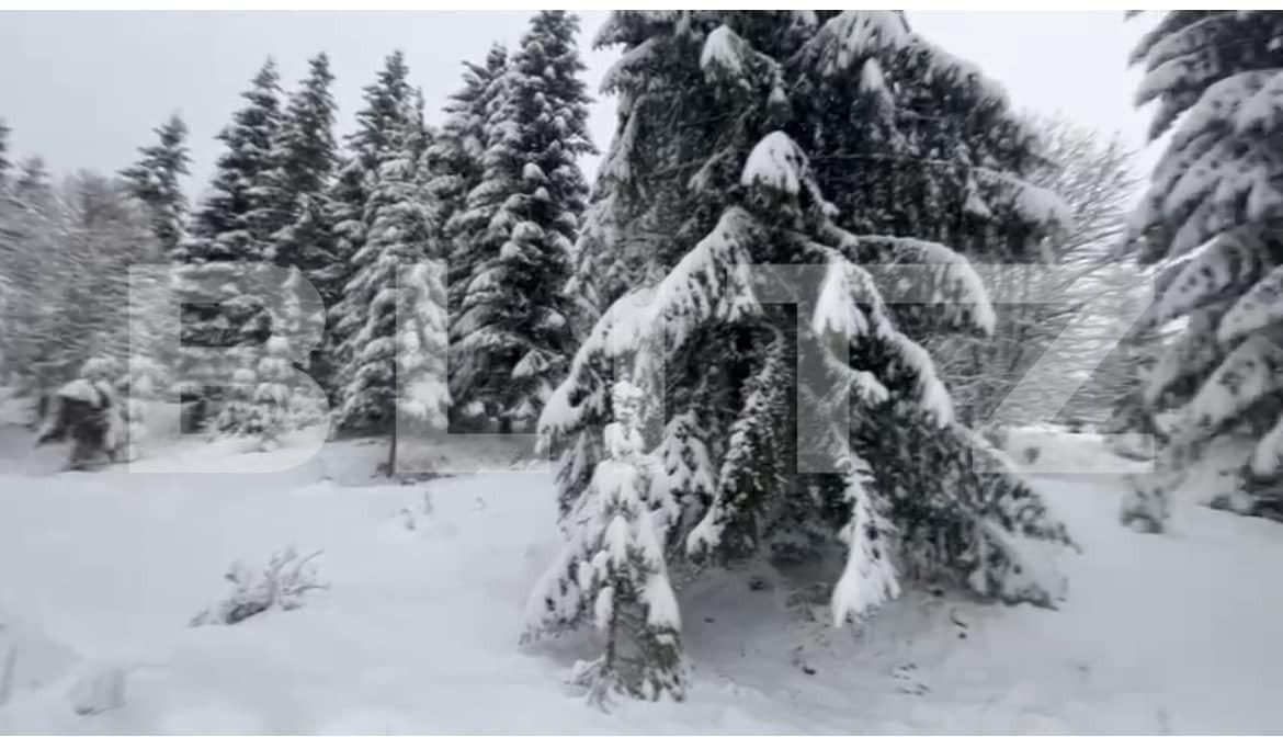 Teren de vânzare Colibiţa - 163764TV | BLITZ Bistriţa | Poza3