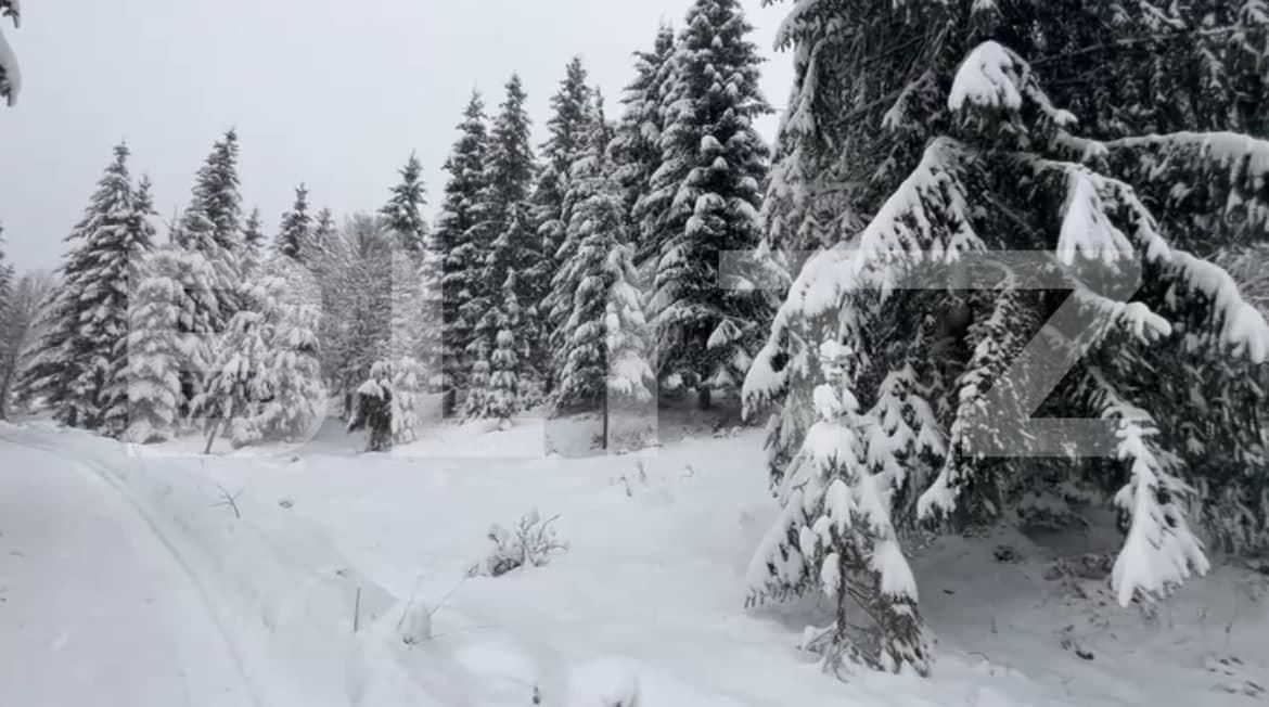 Teren de vânzare Colibiţa - 163765TV | BLITZ Bistriţa | Poza4