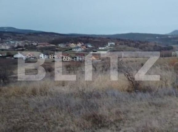 Teren de vânzare Sud-Vest - 163770TV | BLITZ Bistriţa | Poza3