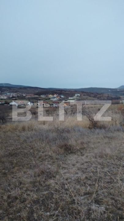 Teren de vânzare Sud-Vest - 163770TV | BLITZ Bistriţa | Poza3