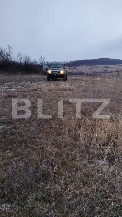 Teren de vânzare Sud-Vest - 163770TV | BLITZ Bistriţa | Poza1
