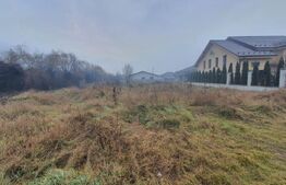 Teren intravilan 8 ari, toate utilitatile, zona Dedeman